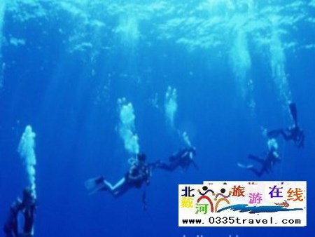 北戴河碧螺塔行者潛水俱樂部