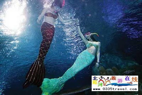 北戴河碧螺塔行者潛水俱樂部