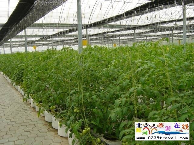 北戴河集發(fā)生態(tài)觀光園