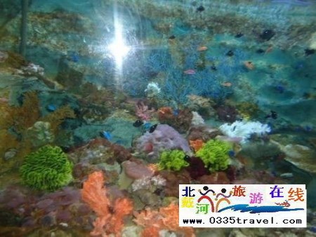 秦皇島新澳海底世界