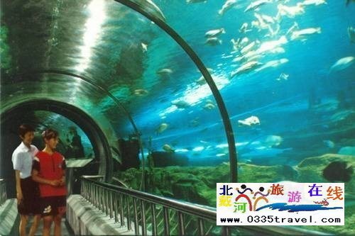 秦皇島新澳海底世界