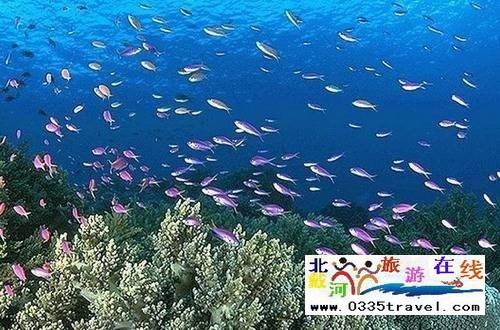 秦皇島新澳海底世界