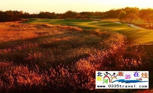 黃金海岸阿那亞國(guó)際高爾夫球會(huì)