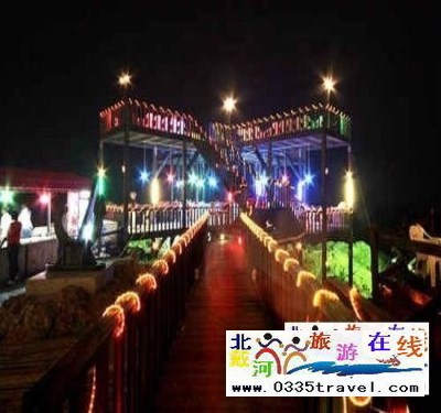 北戴河碧螺塔酒吧公園門票一張