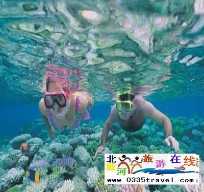 秦皇島起止曼谷巴厘島七日深度游