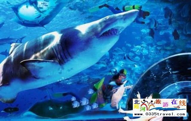 圣藍皇家海洋公園