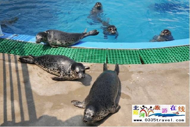 圣藍皇家海洋公園