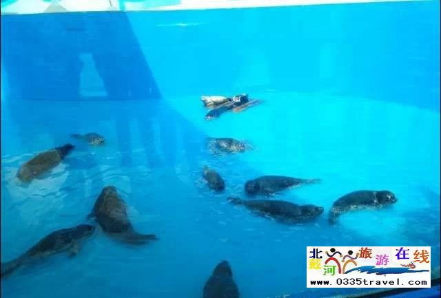 圣藍皇家海洋公園