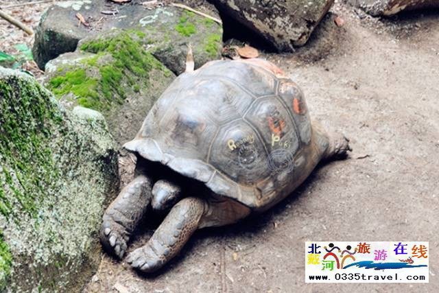 圣藍皇家海洋公園