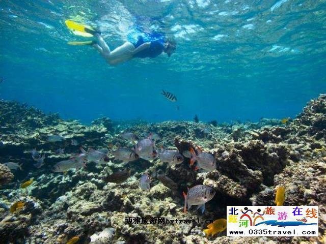 圣藍皇家海洋公園