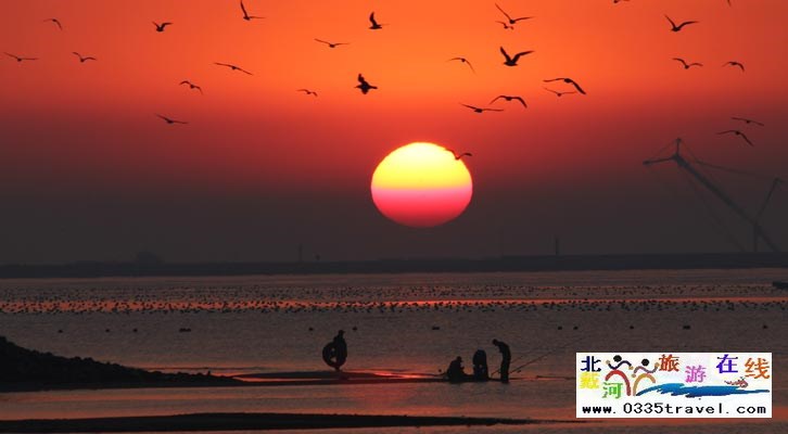 山海關區(qū)老龍頭景區(qū)