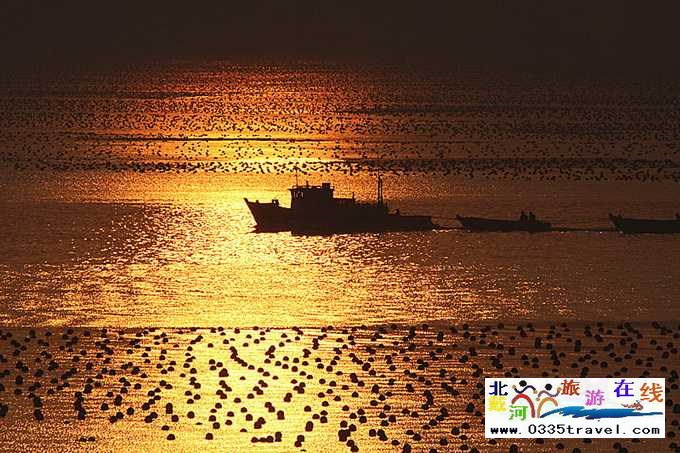 東戴河北戴河南戴河出海打漁看日出電話(huà)0335-3522599,13785079044