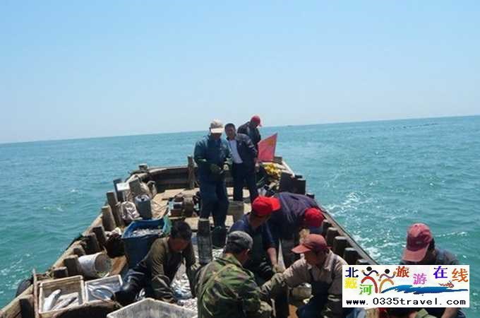 東戴河北戴河南戴河出海打漁看日出電話(huà)0335-3522599,13785079044
