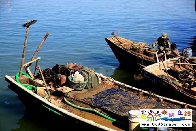 東戴河北戴河南戴河出海打漁看日出電話(huà)0335-3522599,13785079044