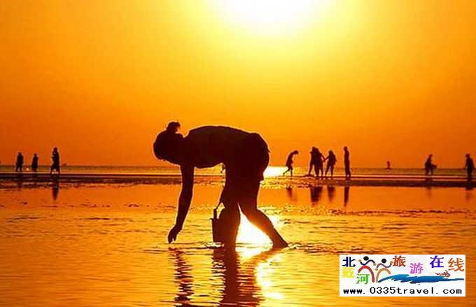 東戴河北戴河南戴河出海打漁看日出電話(huà)0335-3522599,13785079044