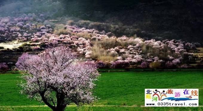 秦皇島至西藏林芝旅游必讀之西藏旅游常見問題解答