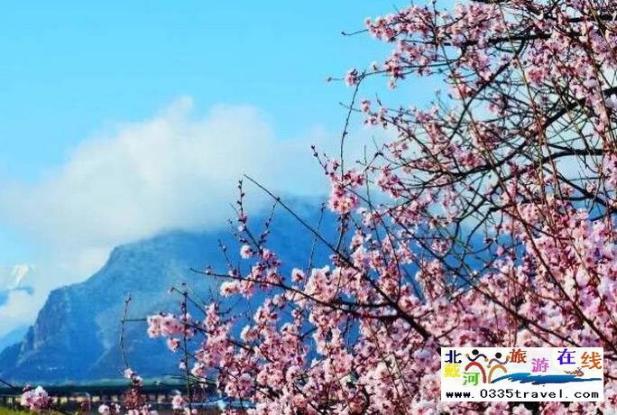 秦皇島至西藏林芝旅游必讀之西藏旅游常見問題解答