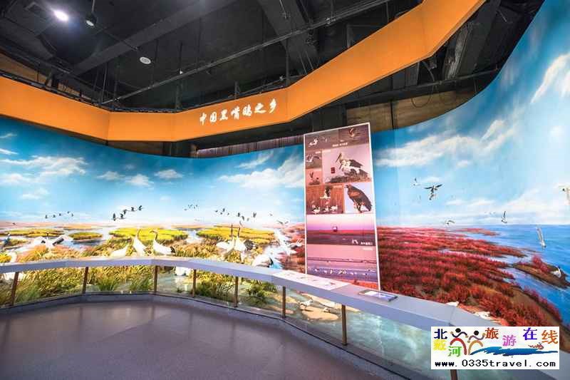 秦皇島北戴河鳥類博物館