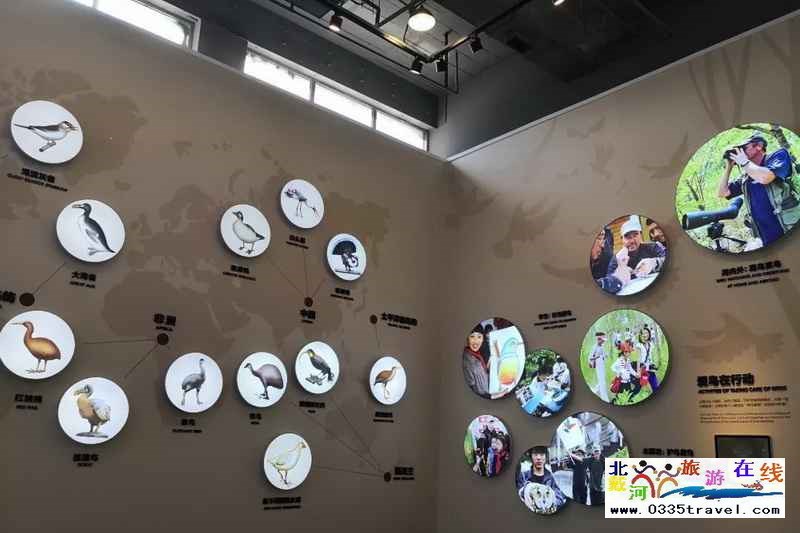 秦皇島北戴河鳥類博物館