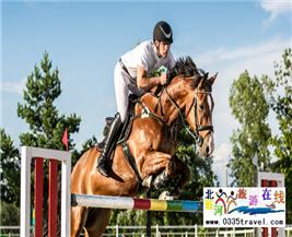 [秦皇島] 秦皇島北戴河超硬核馬術俱樂部集錦——兒童馬術課程：英倫國際馬術俱樂部、仁軒馬術俱樂部、阿那亞馬會
