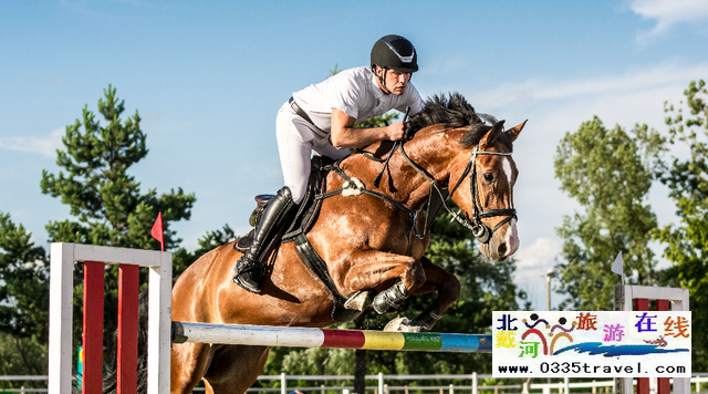 秦皇島北戴河馬術(shù)俱樂部電話18633570222