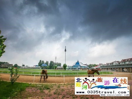 北戴河英倫國際馬術(shù)俱樂部