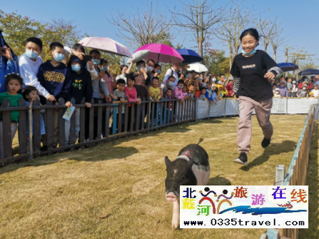 秦皇島花西兔窩窩親子樂園電話18633570222