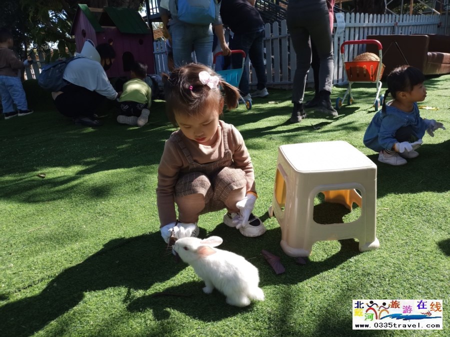 秦皇島花西兔窩窩親子樂園電話18633570222