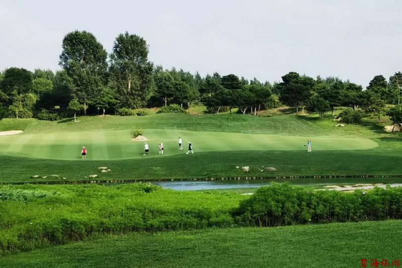 北戴河松石高爾夫/保利國際高爾夫/榮盛森林高爾夫俱樂部球場(chǎng)聯(lián)合優(yōu)惠預(yù)訂18633570222  15703350808